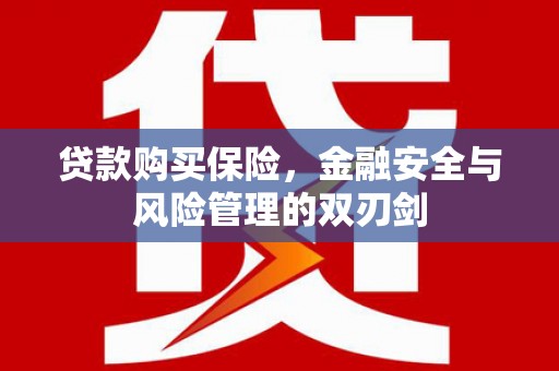 林西贷款购买保险，金融安全与风险管理的双刃剑