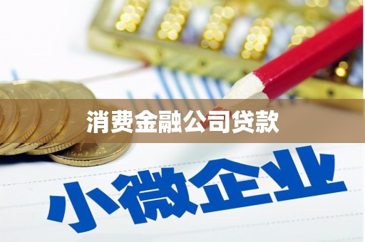 林西消费金融公司贷款