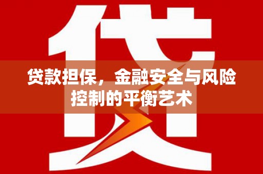 林西贷款担保，金融安全与风险控制的平衡艺术