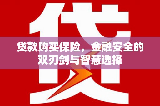 林西贷款购买保险，金融安全的双刃剑与智慧选择