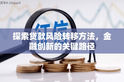 林西探索贷款风险转移方法，金融创新的关键路径