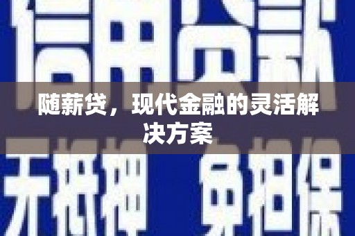 林西随薪贷，现代金融的灵活解决方案