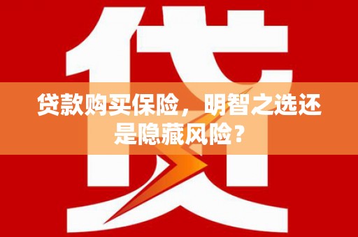 林西贷款购买保险，明智之选还是隐藏风险？