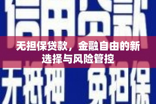 林西无担保贷款，金融自由的新选择与风险管控