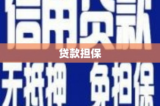 林西贷款担保