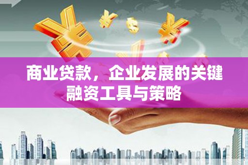 林西商业贷款，企业发展的关键融资工具与策略