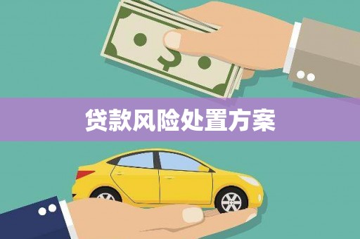 林西贷款风险处置方案