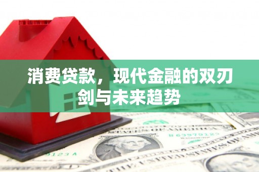 林西消费贷款，现代金融的双刃剑与未来趋势