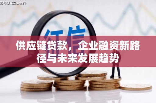 林西供应链贷款，企业融资新路径与未来发展趋势
