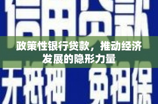 林西政策性银行贷款，推动经济发展的隐形力量