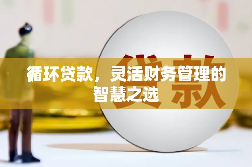 林西循环贷款，灵活财务管理的智慧之选