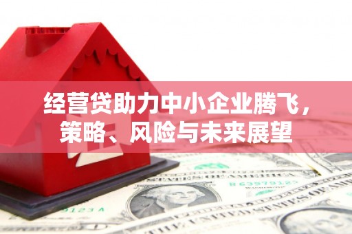 林西经营贷助力中小企业腾飞，策略、风险与未来展望