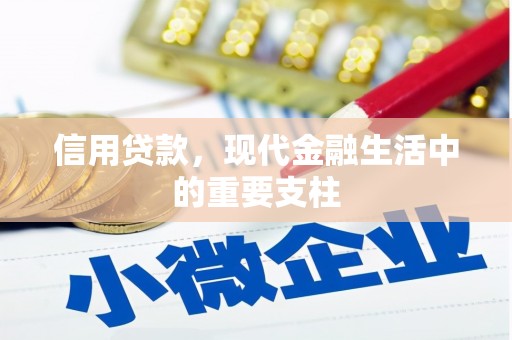 林西信用贷款，现代金融生活中的重要支柱