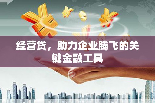 林西经营贷，助力企业腾飞的关键金融工具