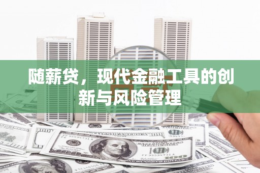 林西随薪贷，现代金融工具的创新与风险管理