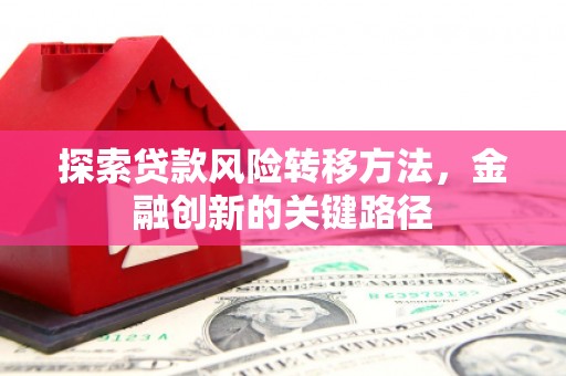 林西探索贷款风险转移方法，金融创新的关键路径