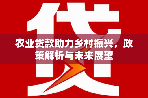 林西农业贷款助力乡村振兴，政策解析与未来展望
