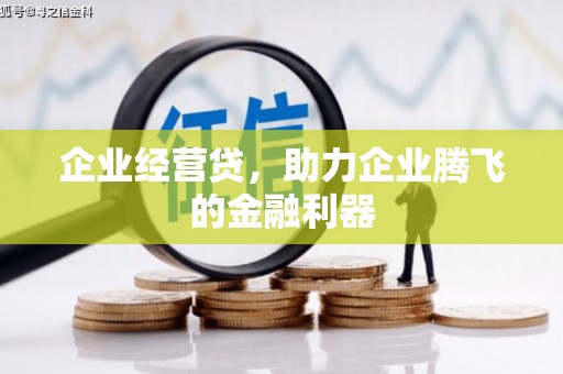 林西企业经营贷，助力企业腾飞的金融利器