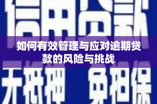 林西如何有效管理与应对逾期贷款的风险与挑战