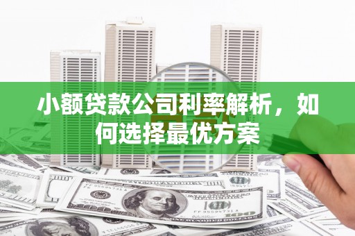 林西小额贷款公司利率解析，如何选择最优方案