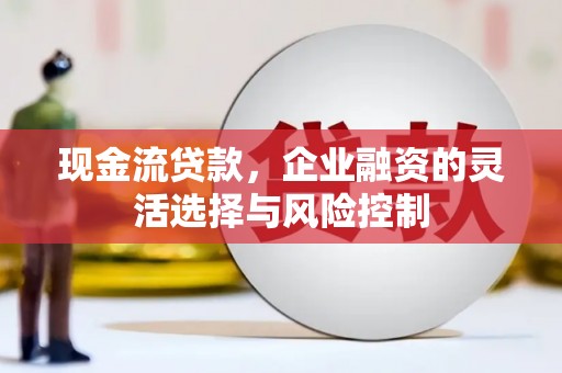 林西现金流贷款，企业融资的灵活选择与风险控制