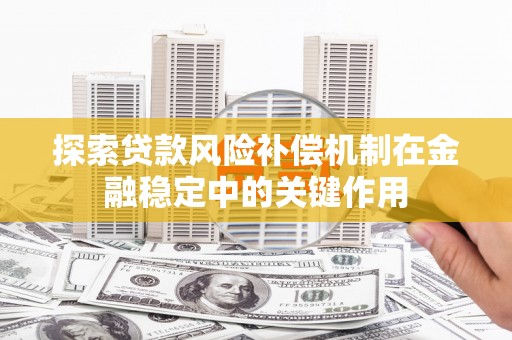 林西探索贷款风险补偿机制在金融稳定中的关键作用