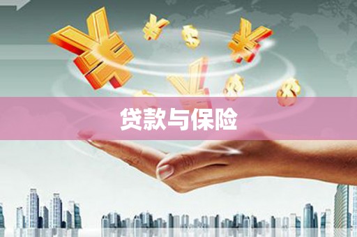 林西贷款与保险