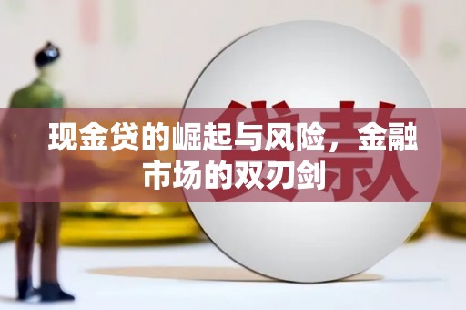 林西现金贷的崛起与风险，金融市场的双刃剑