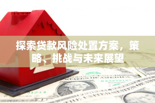 林西探索贷款风险处置方案，策略、挑战与未来展望
