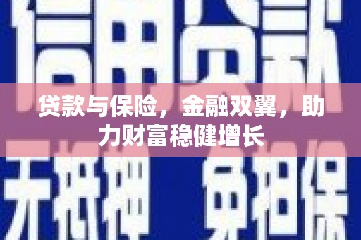 林西贷款与保险，金融双翼，助力财富稳健增长