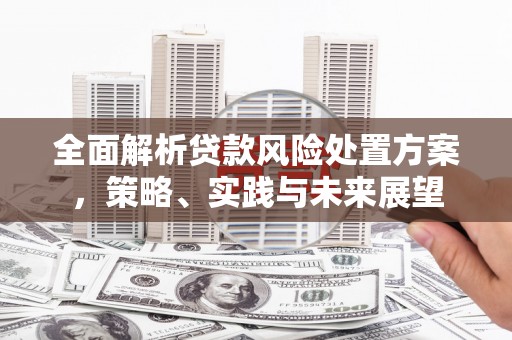 林西全面解析贷款风险处置方案，策略、实践与未来展望
