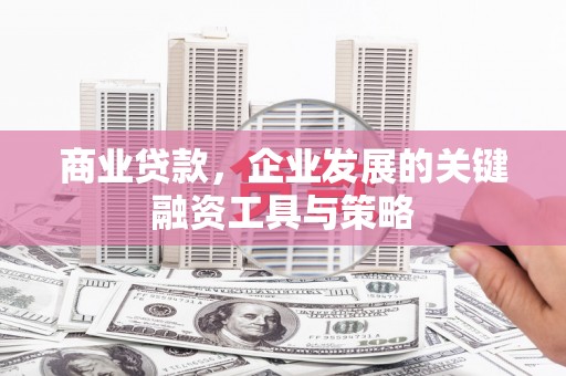 林西商业贷款，企业发展的关键融资工具与策略