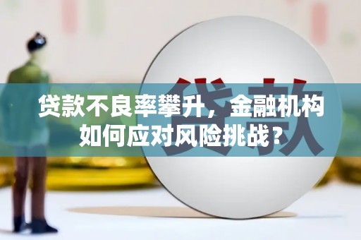 林西贷款不良率攀升，金融机构如何应对风险挑战？