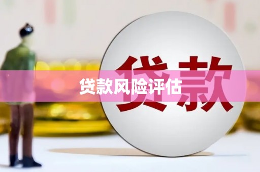 林西贷款风险评估
