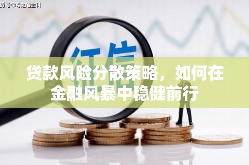 林西贷款风险分散策略，如何在金融风暴中稳健前行