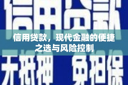 林西信用贷款，现代金融的便捷之选与风险控制
