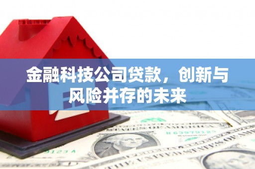 林西金融科技公司贷款，创新与风险并存的未来