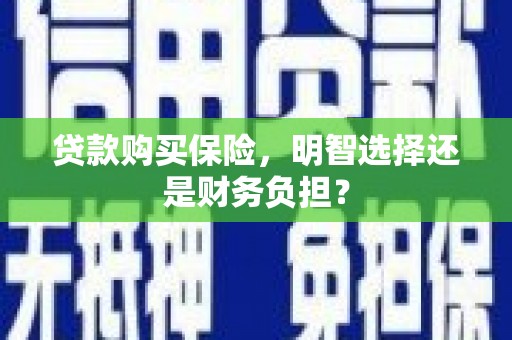 林西贷款购买保险，明智选择还是财务负担？