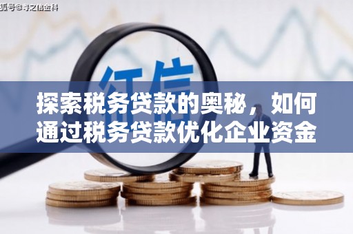 林西探索税务贷款的奥秘，如何通过税务贷款优化企业资金流