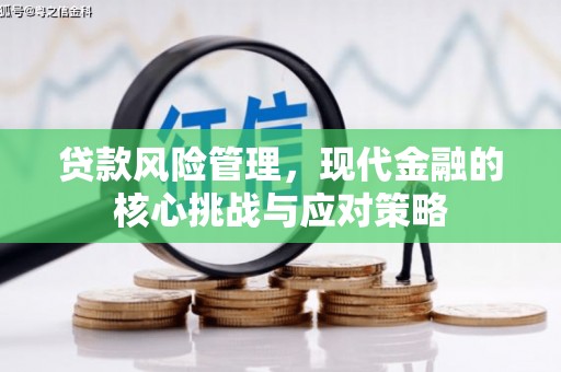 林西贷款风险管理，现代金融的核心挑战与应对策略