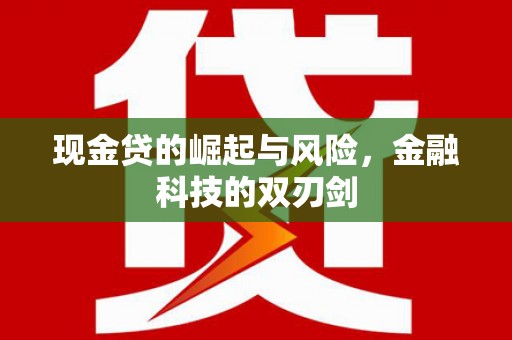 林西现金贷的崛起与风险，金融科技的双刃剑