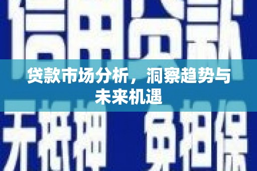 林西贷款市场分析，洞察趋势与未来机遇