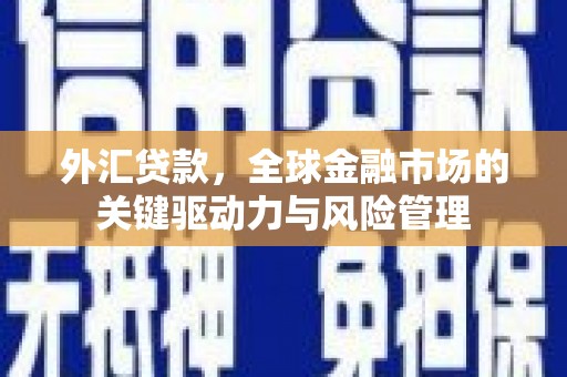 林西外汇贷款，全球金融市场的关键驱动力与风险管理
