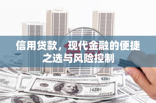 林西信用贷款，现代金融的便捷之选与风险控制