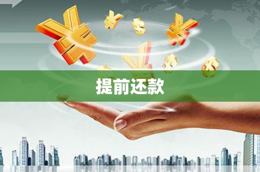 林西提前还款