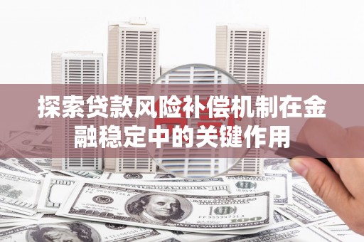 林西探索贷款风险补偿机制在金融稳定中的关键作用