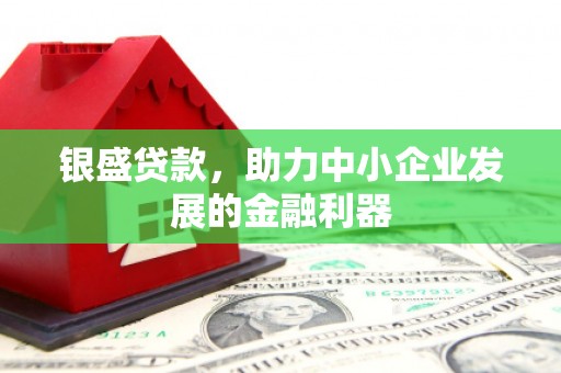 林西银盛贷款，助力中小企业发展的金融利器
