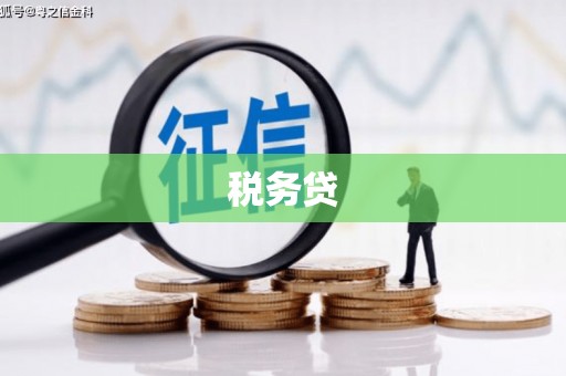 林西税务贷