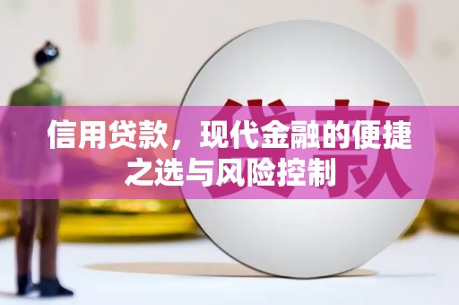 林西信用贷款，现代金融的便捷之选与风险控制