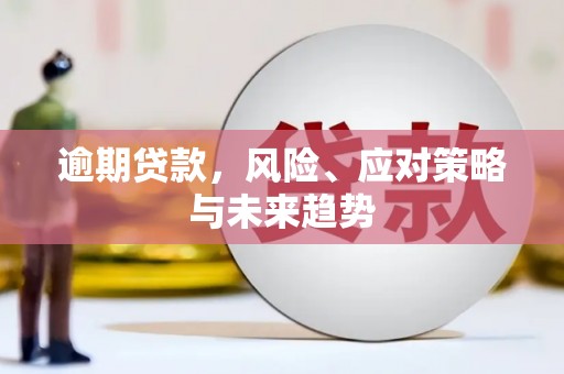 林西逾期贷款，风险、应对策略与未来趋势